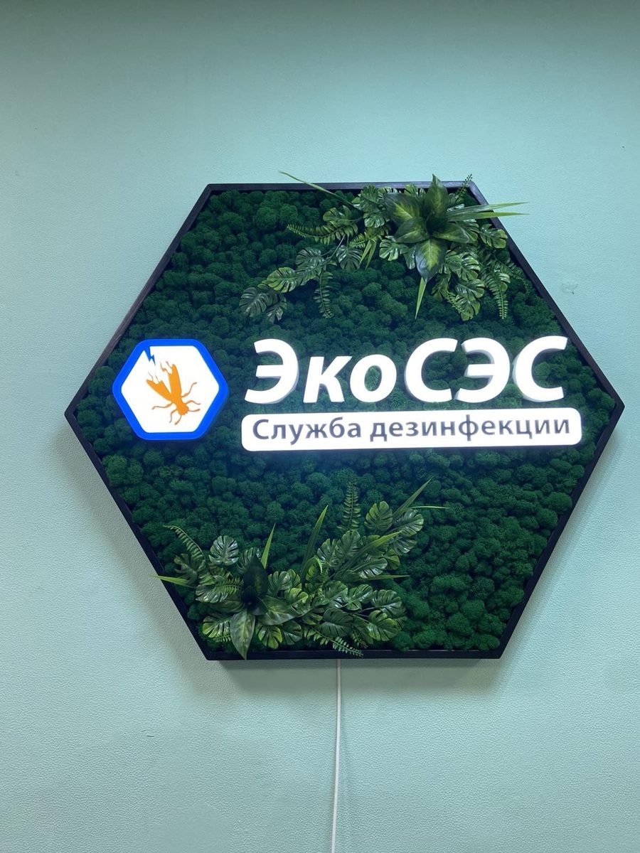Шестиугольный световой короб «ЭкоСЭС» на фоне зелёной стены